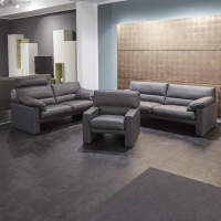 Erpo - Garnitur Einzelsofa GA210 Mit Sessel GA200 Bezug Leder 43.059 Grau Inklusive Kopfstütze - 6