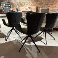 Draenert - 4er Set Schalenstuhl Dexter Innen Stoff Neport 03 Grün Außen Leder I 919 Schwarz Sternfuß Metall Schwarz - 6