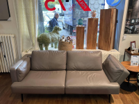 De Sede - Sofa Laviva 747 3,5-Sitzer Leder 25 Touch 17 Taupe Braun Gestell Metall Schwarz Matt Beschichtet - 2