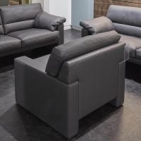 Erpo - Garnitur Einzelsofa GA210 Mit Sessel GA200 Bezug Leder 43.059 Grau Inklusive Kopfstütze - 10