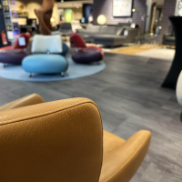 Montis - Sessel George Leder Cognac Braun Gestell Drehfuß Eiche Carbon Schwarz - 2