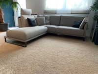 Rolf Benz - Corner sofa Cara 2020 fabric 14.162 stone gray shelf oak veneered runner steel umbra gray - 8