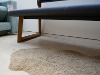 Hartmann - Bank LS 992821 Kerneiche Umato Gebürstet Gestell Holz Leder Atlantikblau - 3