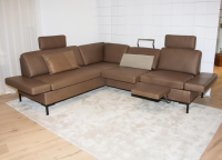 Brühl - Sofa Alba Leder Lama 5669 25 Braun Winkelfuß Schwarz Pulverbeschichtet Höhenverstellbar - 7